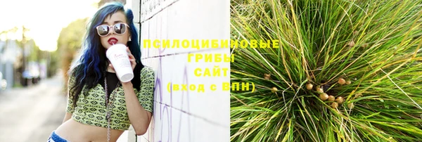 скорость mdpv Елабуга