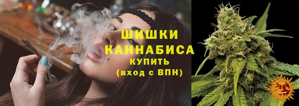 ешки Ельня