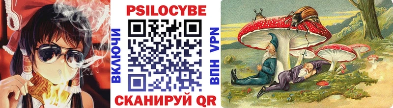 Псилоцибиновые грибы Psilocybe  Купить  Николаевск 